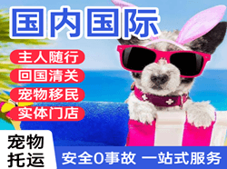 敦煌航空运输国际宠物托运 【国